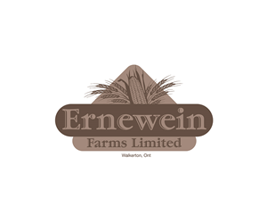 Logo Design by KreativeDesk