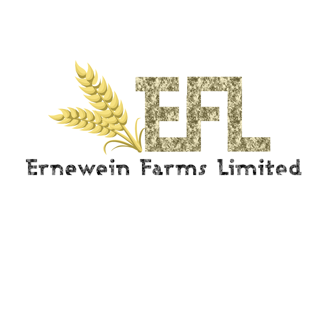 Logo Design by yunuskaradeniz87 for this project | Design #6221472