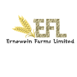 Logo Design by yunuskaradeniz87 for this project | Design: #6221472