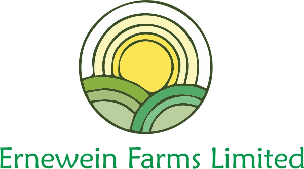 Logo Design by snorys for this project | Design #6235408