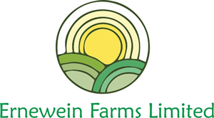 Logo Design by snorys for this project | Design: #6235408