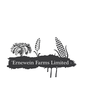 Logo Design by dossashraf0