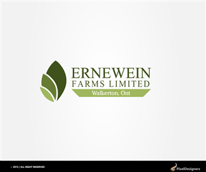 Logo Design by PixelDesigners for this project | Design: #6206936