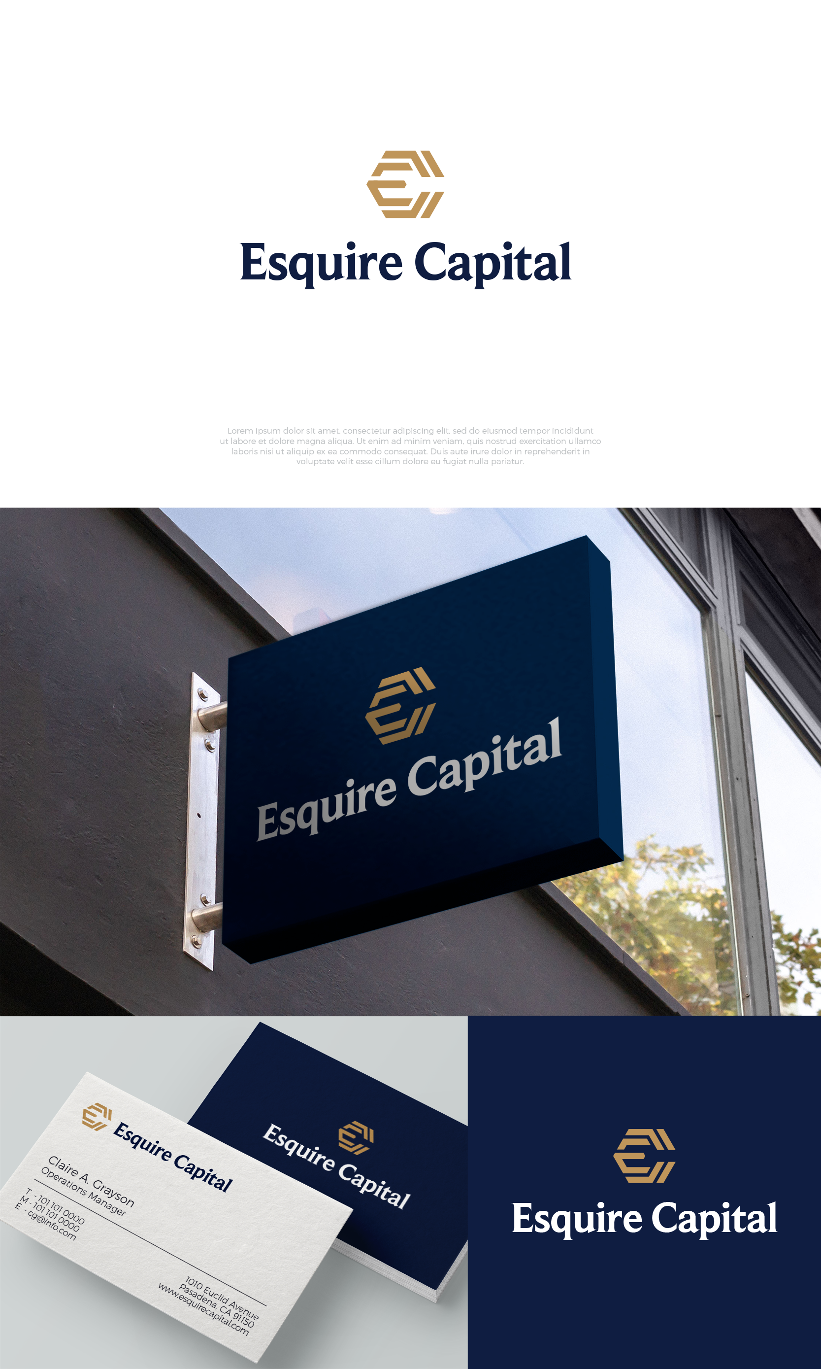 Logo Design by airborne for this project | Design #28330939