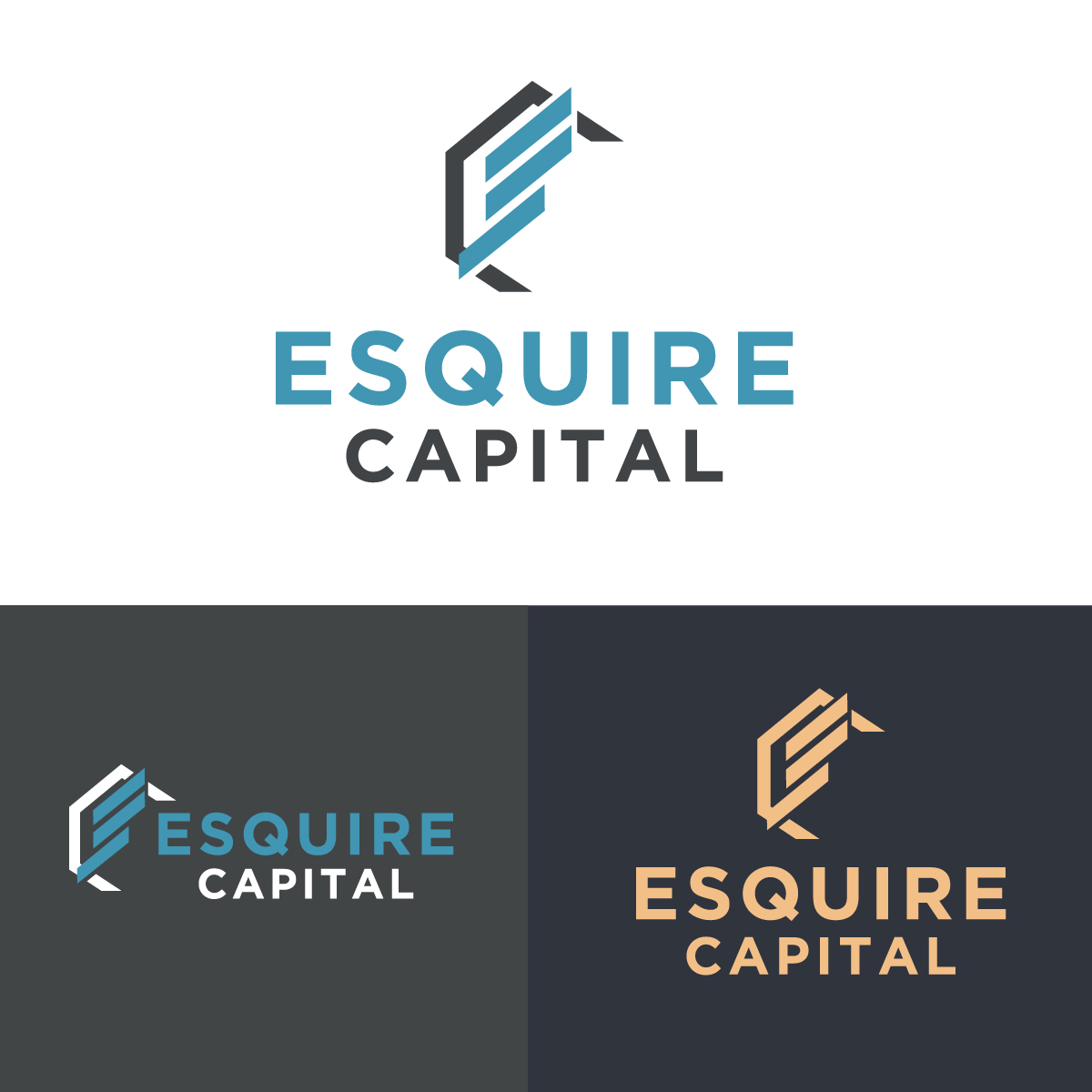 Logo Design by creative.bugs for this project | Design #28331667