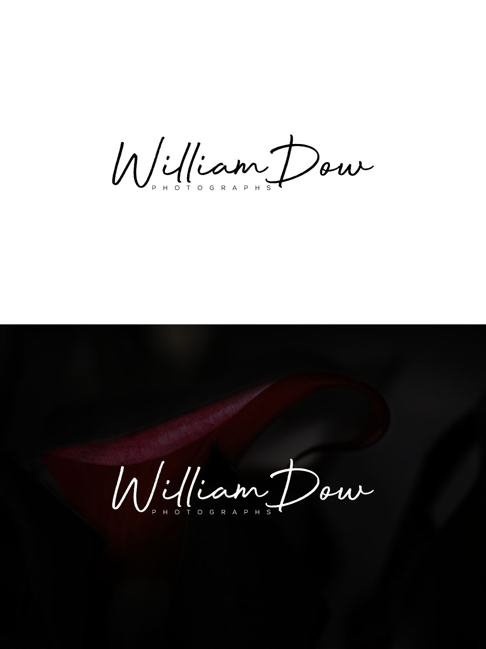 Logo Design by LogoEon for William Dow Photographs | Design #28337864