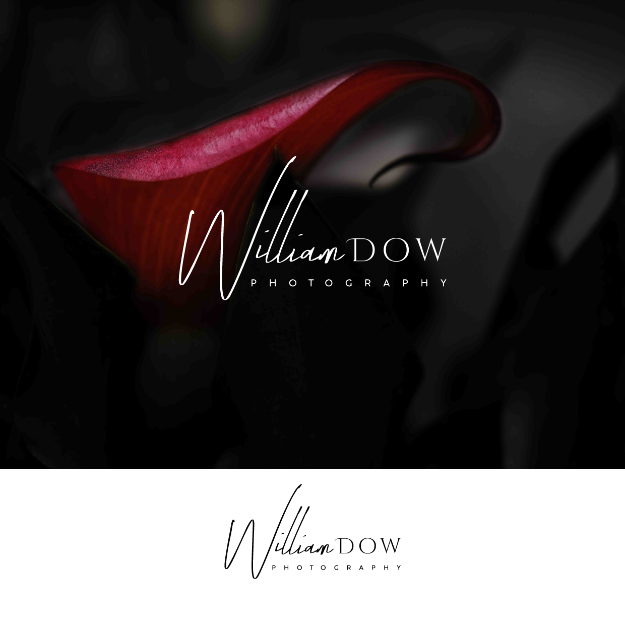 Logo Design by ashantha for William Dow Photographs | Design #28342536