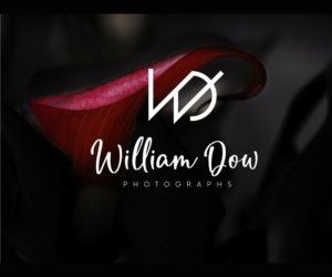 Logo Design by leduy87qn for William Dow Photographs | Design #28335830