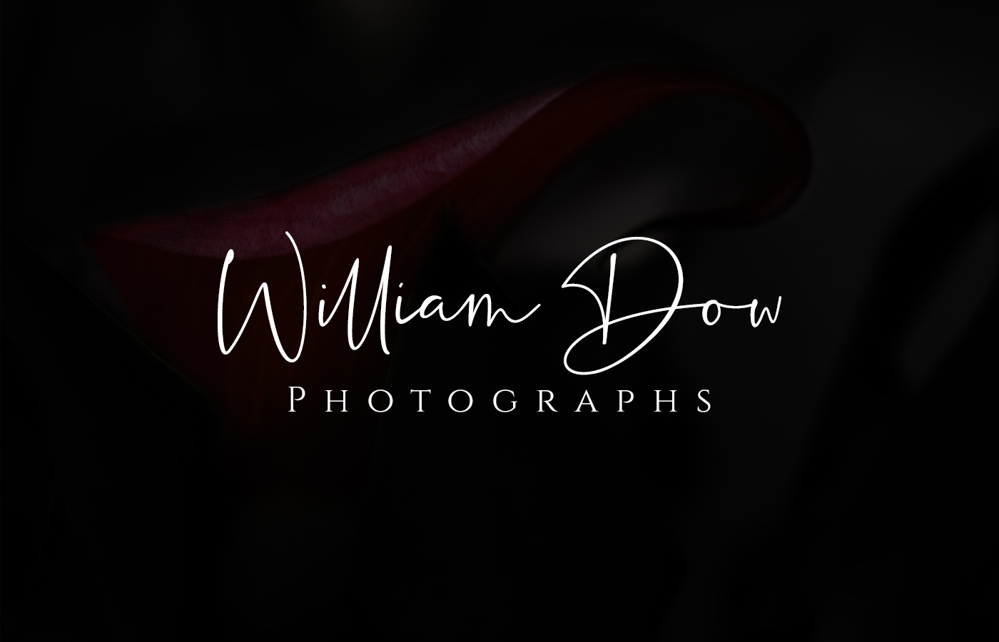 Design de Logo par Soonia pour William Dow Photographs | Design #28342995