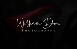 Logo Design by Soonia for William Dow Photographs | Design: #28342995