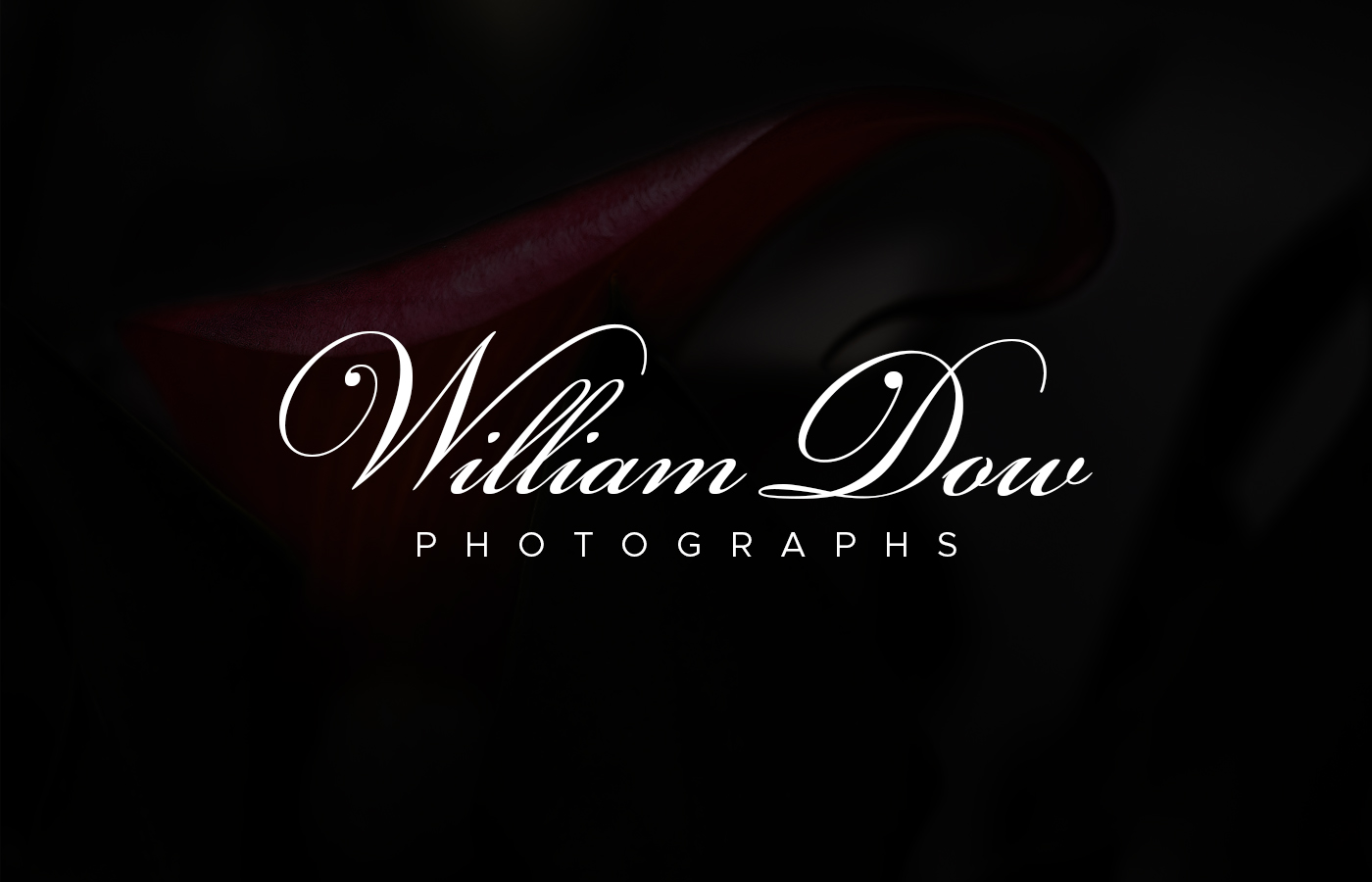 Logo Design by Soonia for William Dow Photographs | Design #28342996