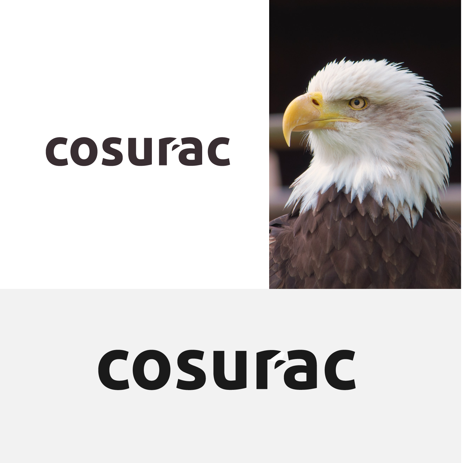 Logo-Design von Abdul 20 für dieses Projekt | Design #28350427