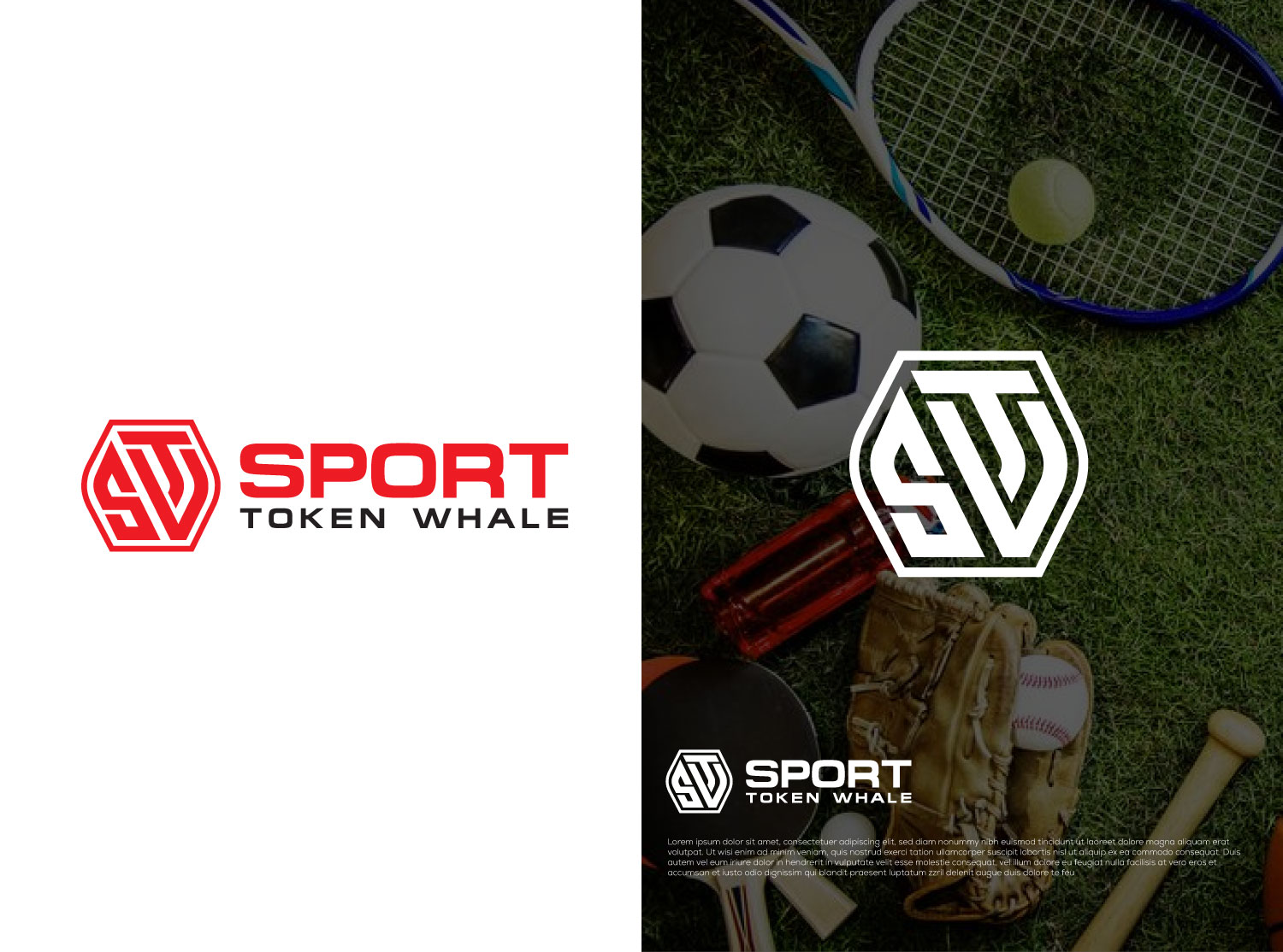 Logo Design by designbenk for this project | Design #28362677