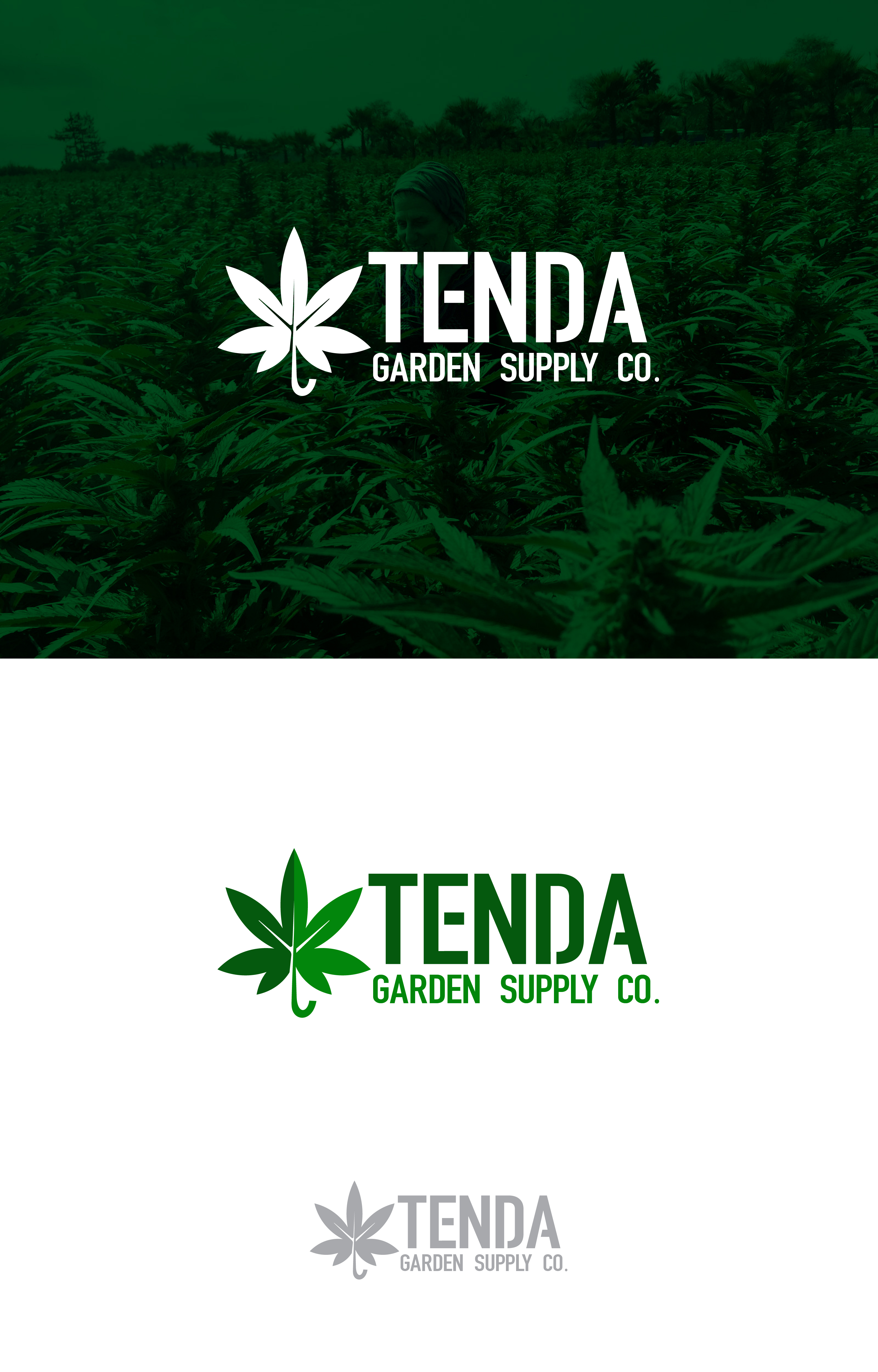 Logo Design by karishma91 for this project | Design #28389709