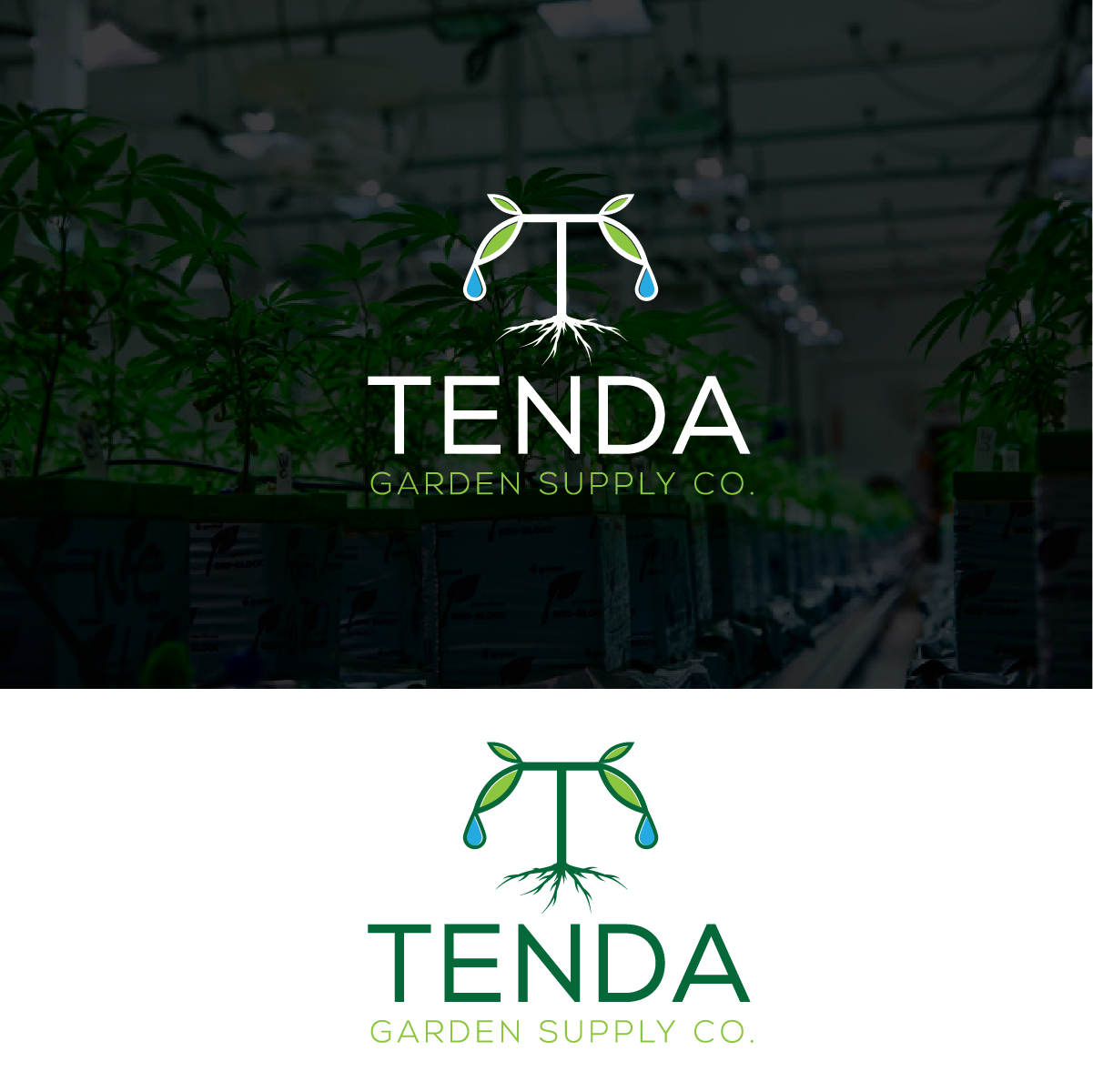 Logo Design by Deziners Zone for this project | Design #28351406