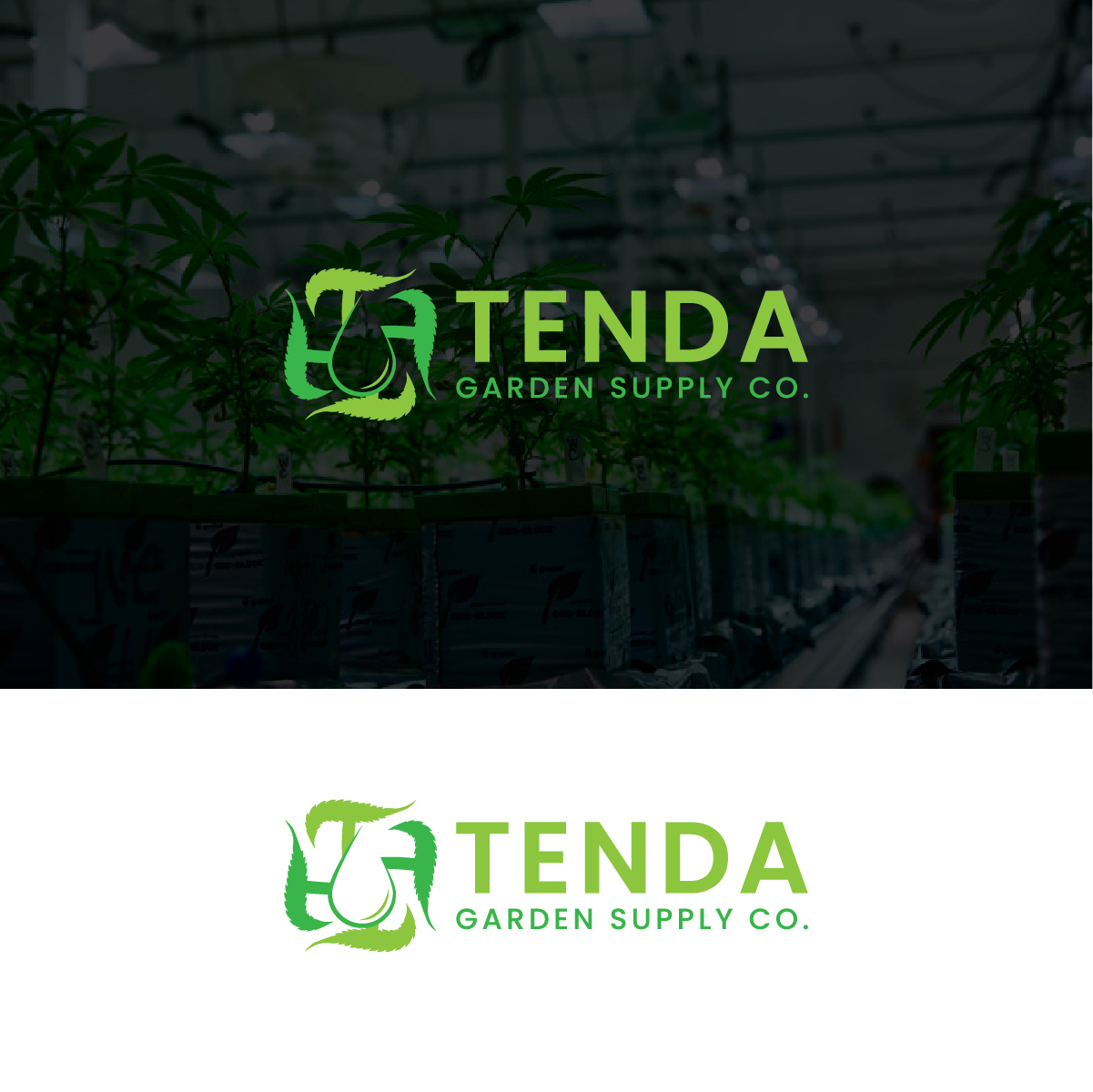 Logo Design by Deziners Zone for this project | Design #28351409