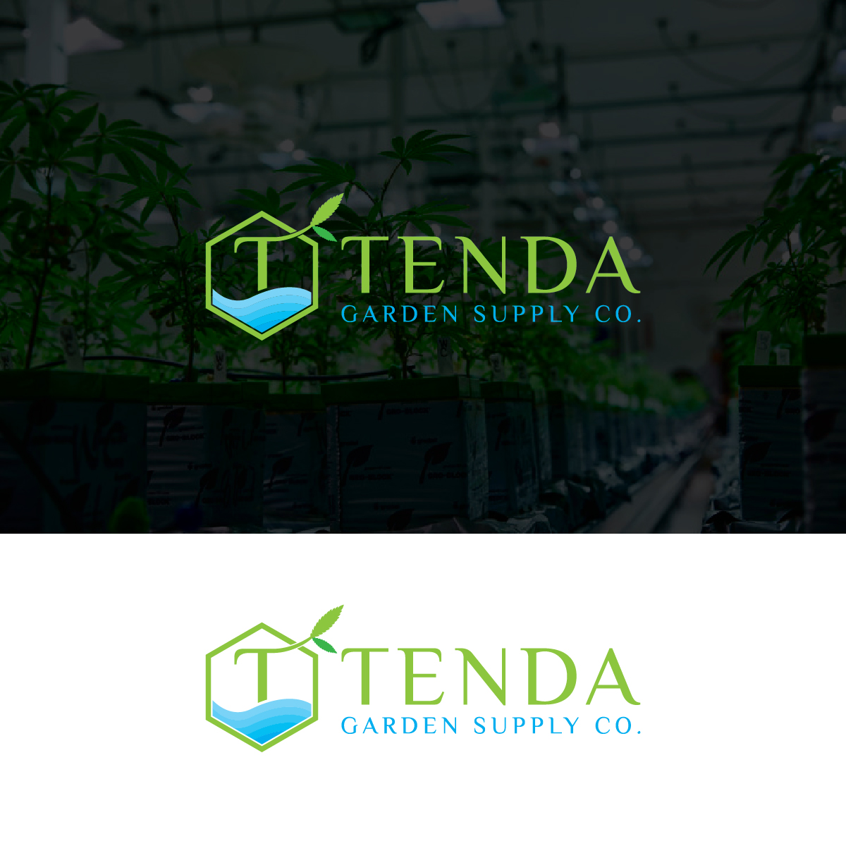 Logo Design by Deziners Zone for this project | Design #28351410