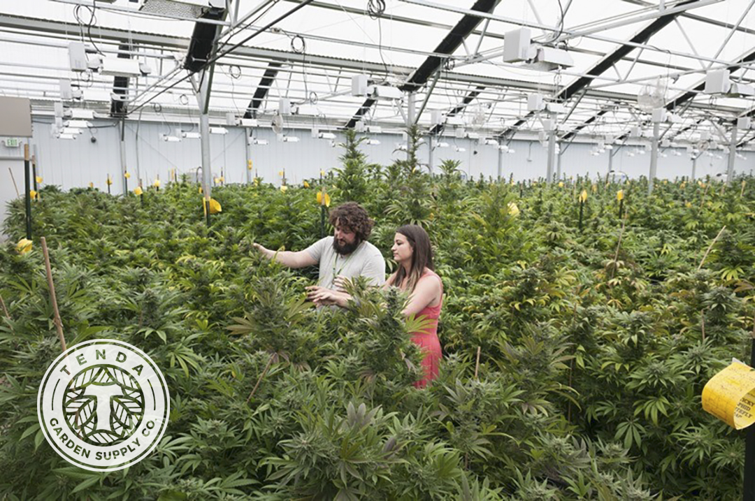 Logo Design by christianpoetoe for this project | Design #28366361