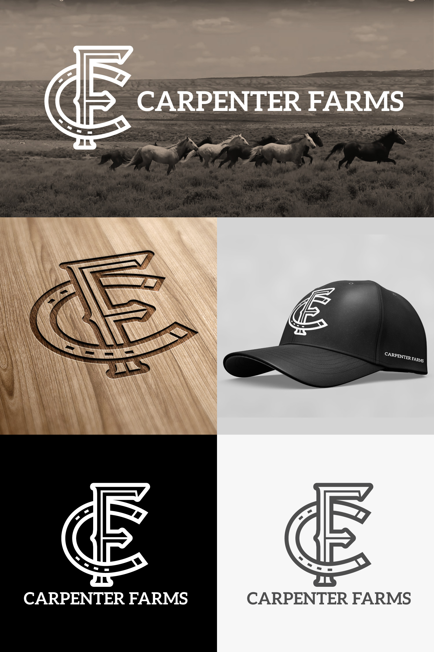 Logo-Design von Sergio Coelho für dieses Projekt | Design #28363675