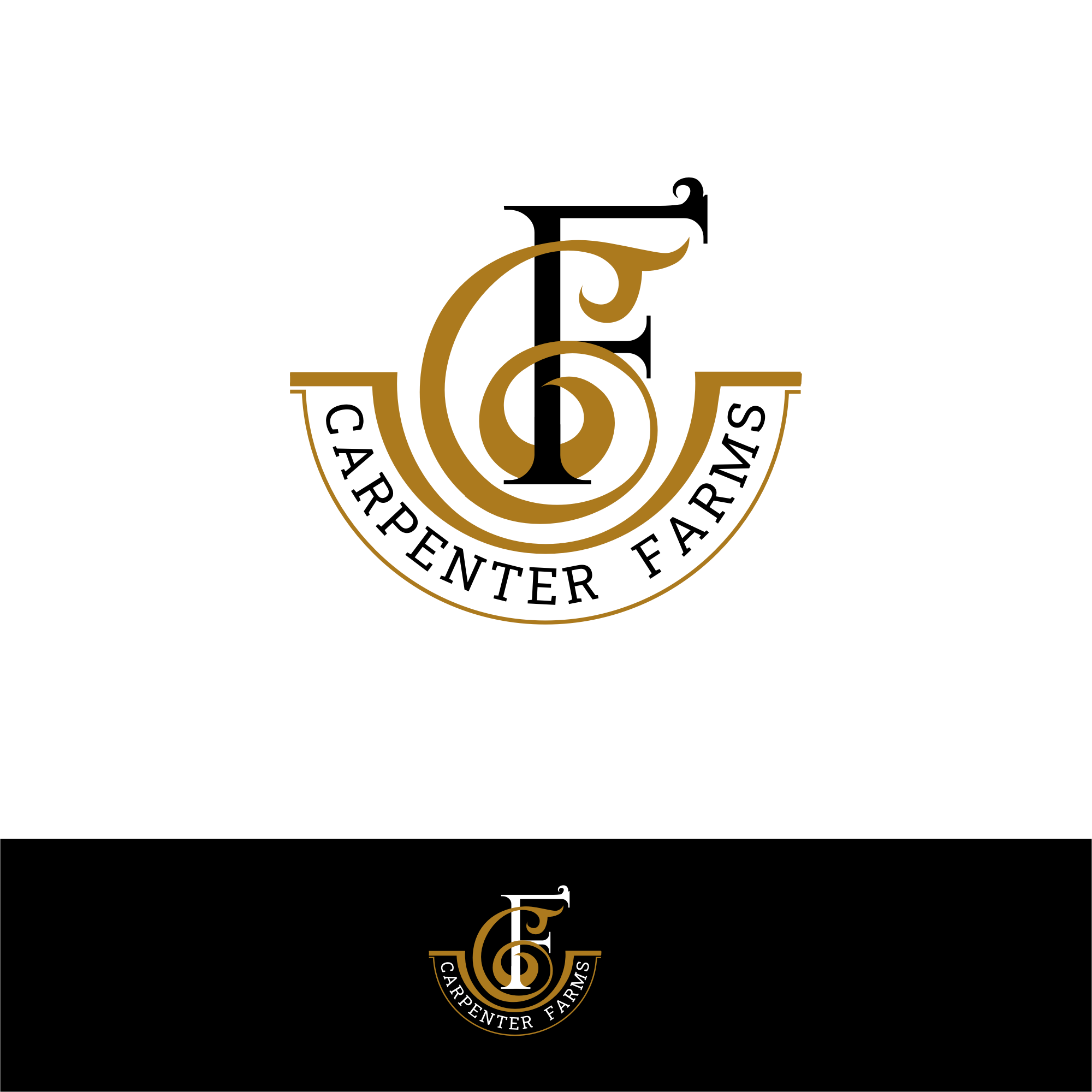 Logo Design by rgb01 for this project | Design #28378848