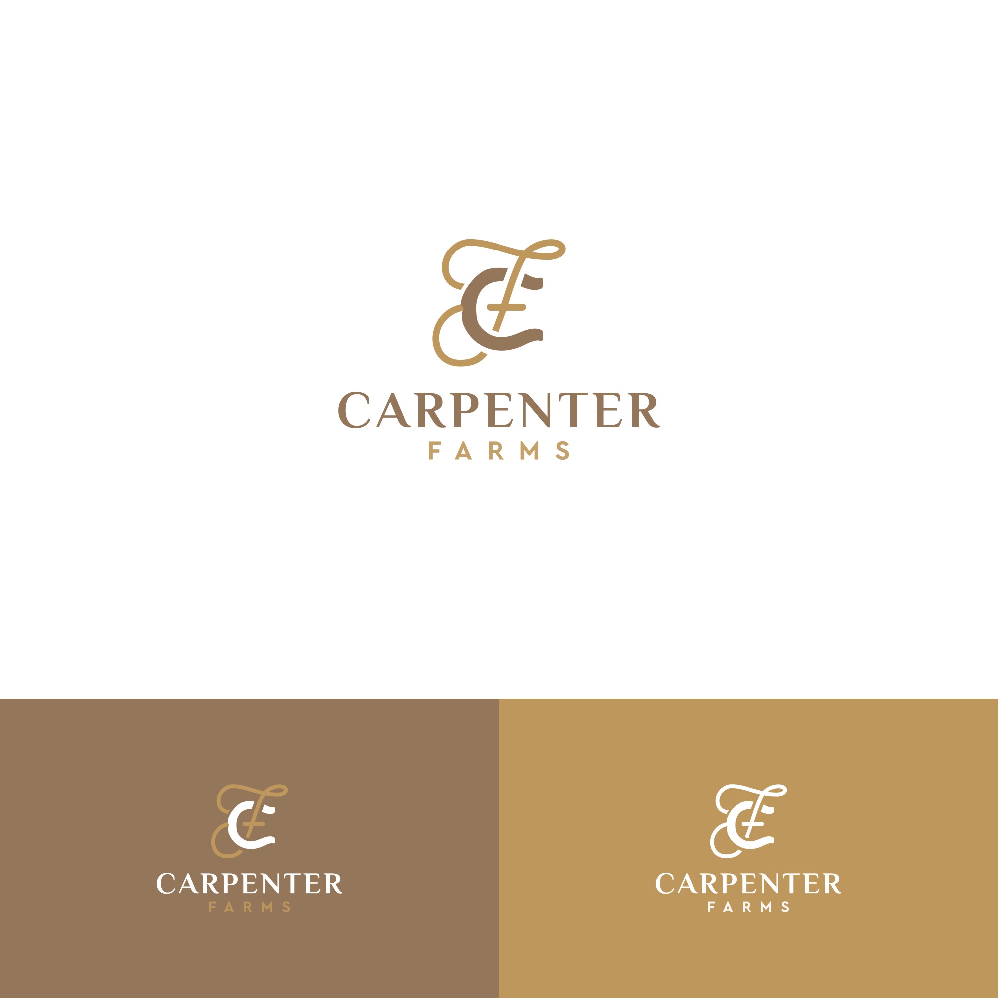 Logo Design by alitjuara for this project | Design #28373811