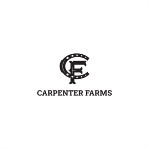 Logo Design by Diaveo