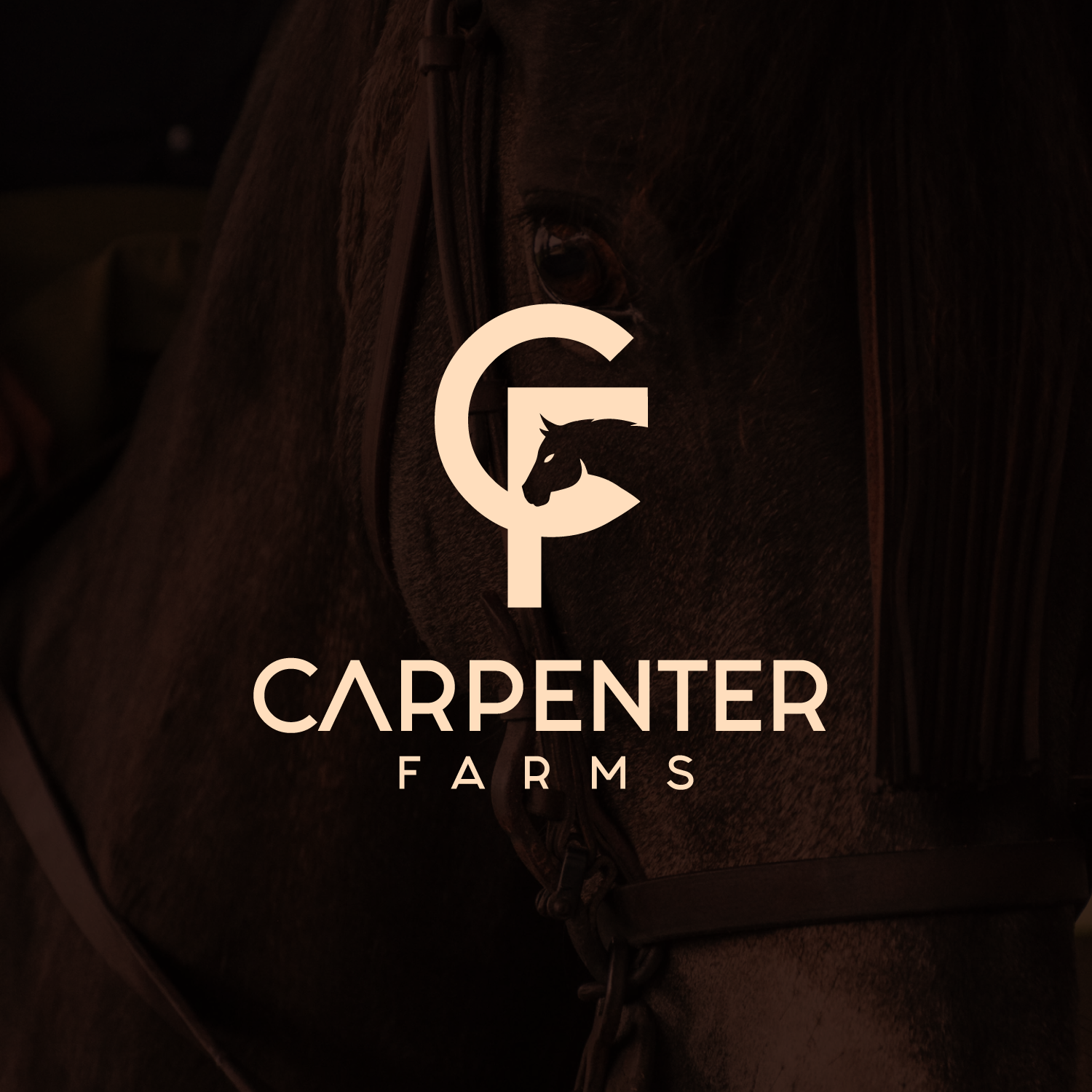 Logo-Design von Abdul 20 für dieses Projekt | Design #28349290