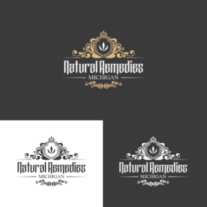 Natural Remedies Michigan | Logo Design by Dejan Gmizovic