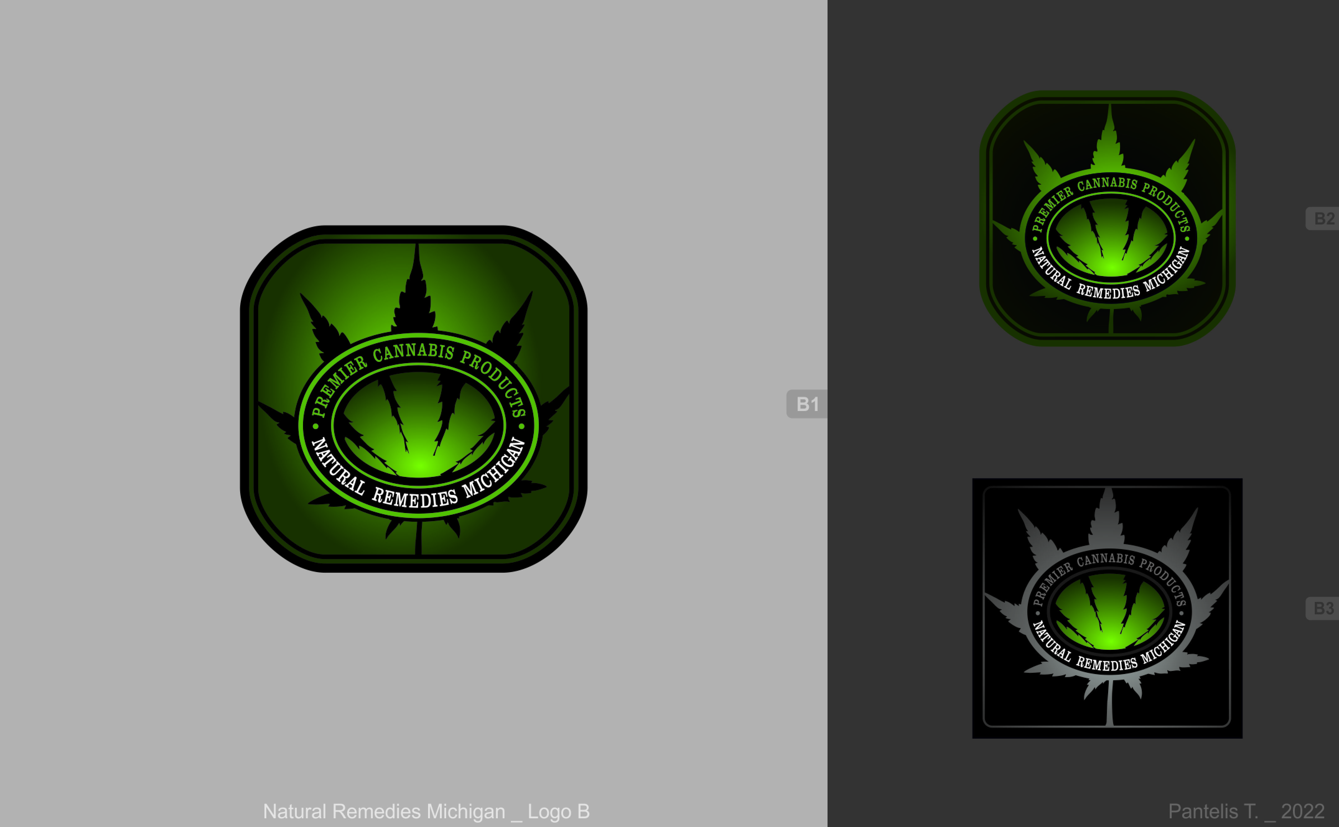 Logo Design by Phi for this project | Design #28390010