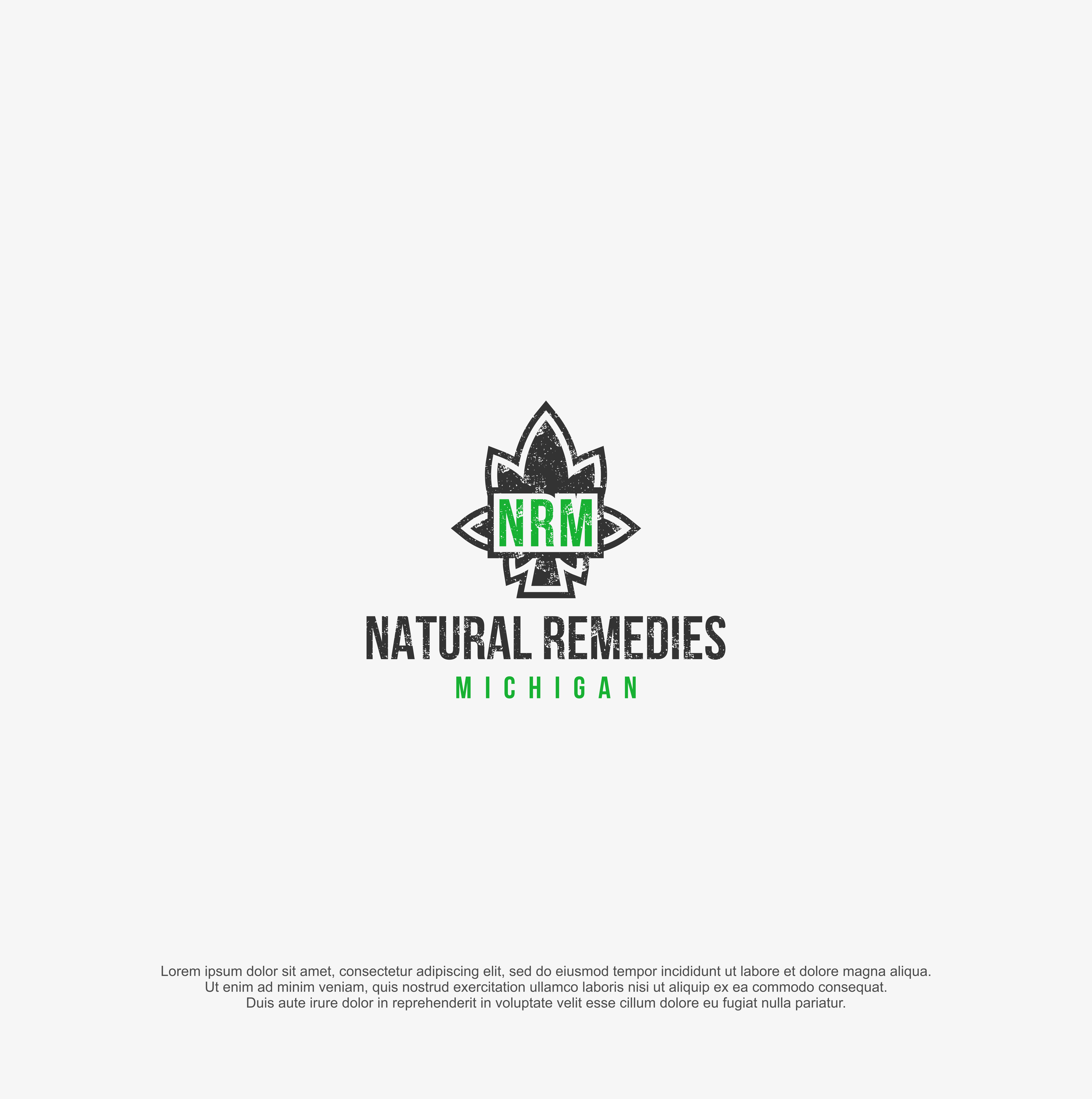Diseño de Logo por R!CKY para este proyecto | Diseño #28407592