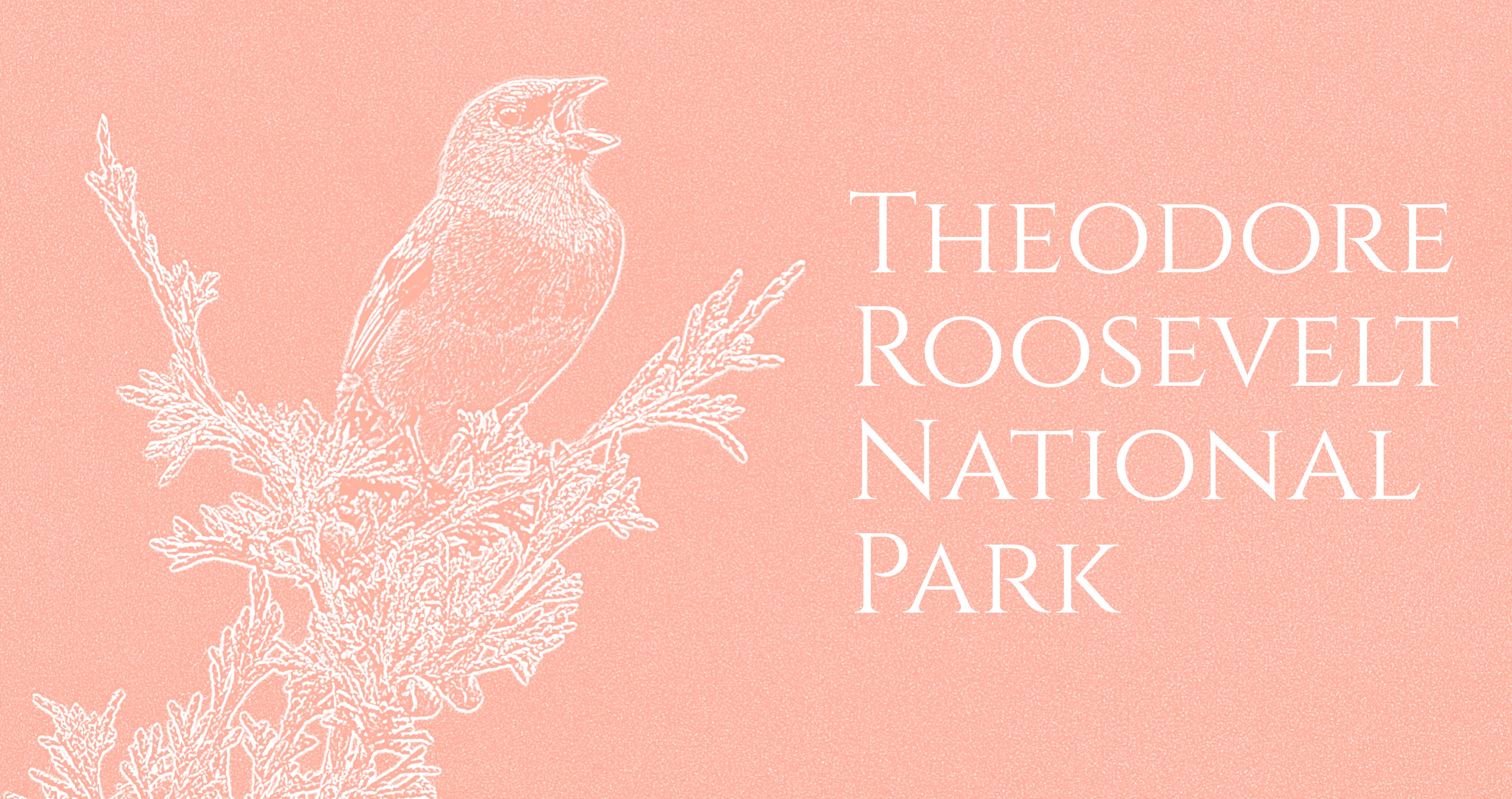Graphic Design by AnninWonderland for Theodore Roosevelt Nature & History Association | Design #28368467