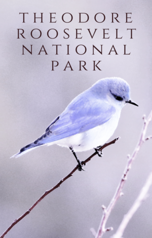 Graphic Design by AnninWonderland for Theodore Roosevelt Nature & History Association | Design: #28396088