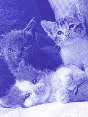 Art Design by AnninWonderland for this project | Design: #28363499