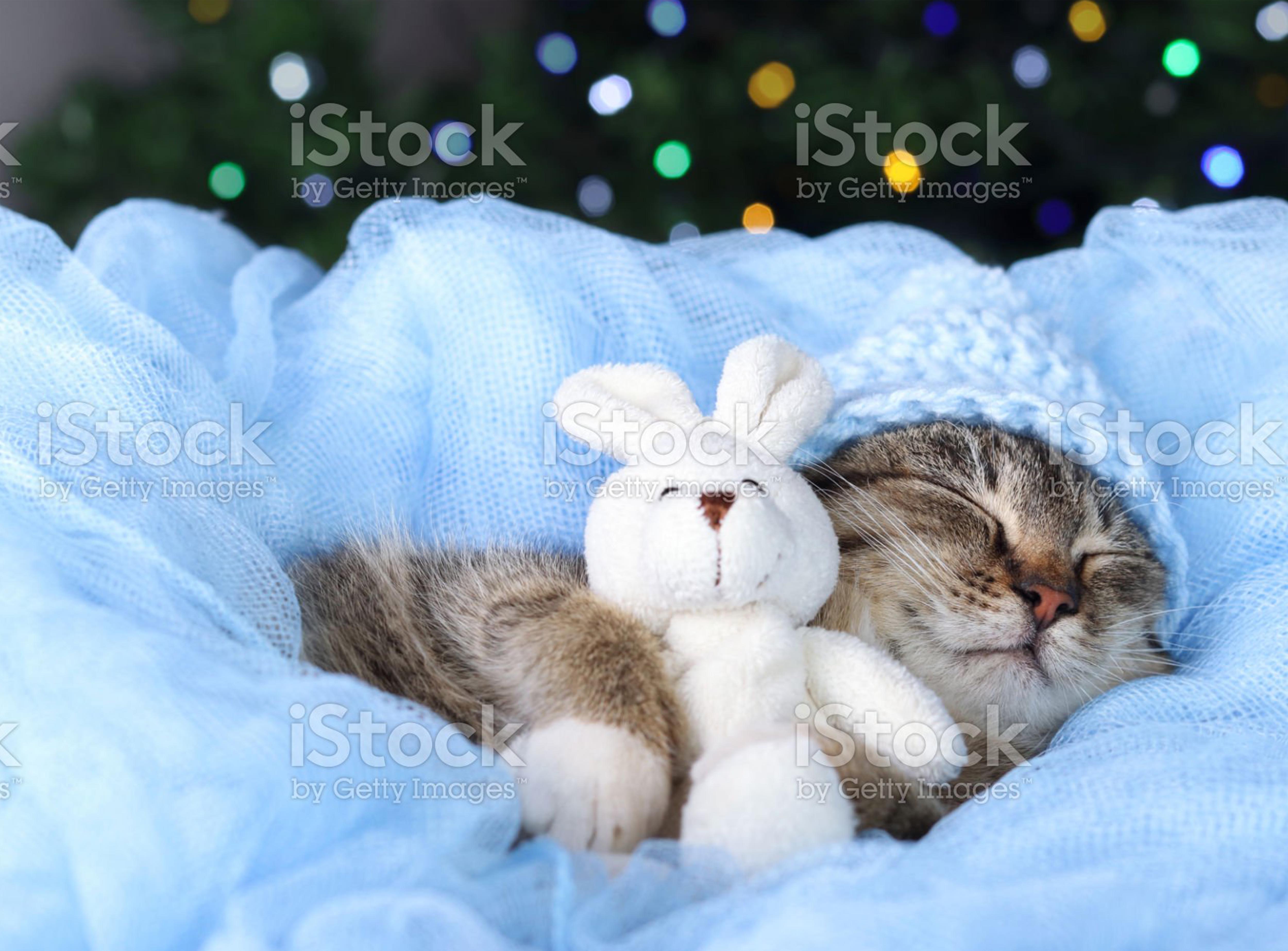 Art Design by alice for this project | Design #28361565