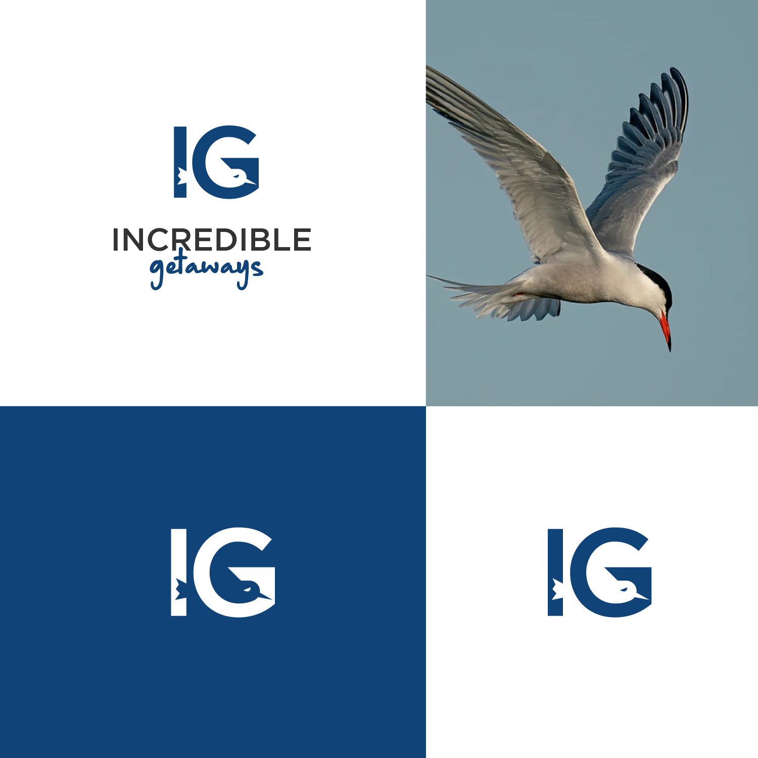 Logo Design by Abdul 20 for this project | Design #28360577