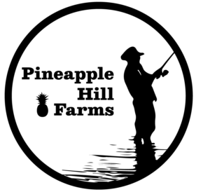 Logo Design by Magnolia Studio