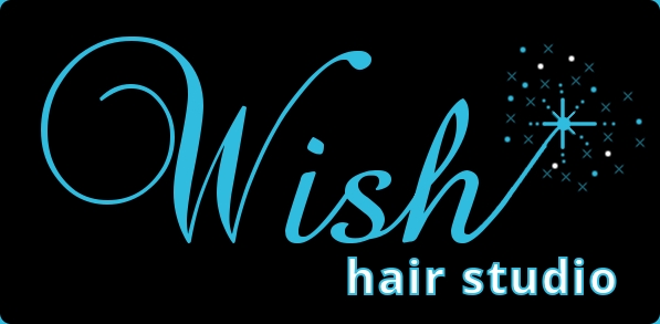 Logo Design by gnice for Wish Hair  Beauty Studio | Design #757350