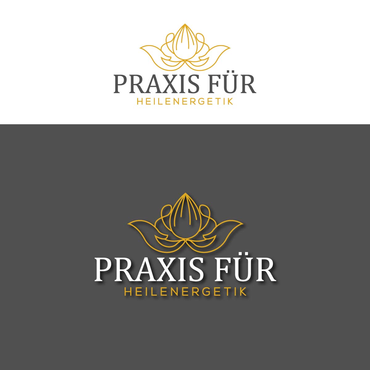 Logo Design by creative.bugs for this project | Design #28381857