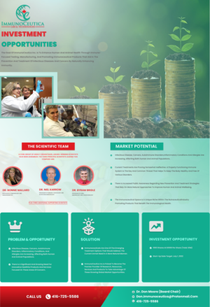 Diseño de Flyer por ProWebDesigner para este proyecto | Diseño #28427878