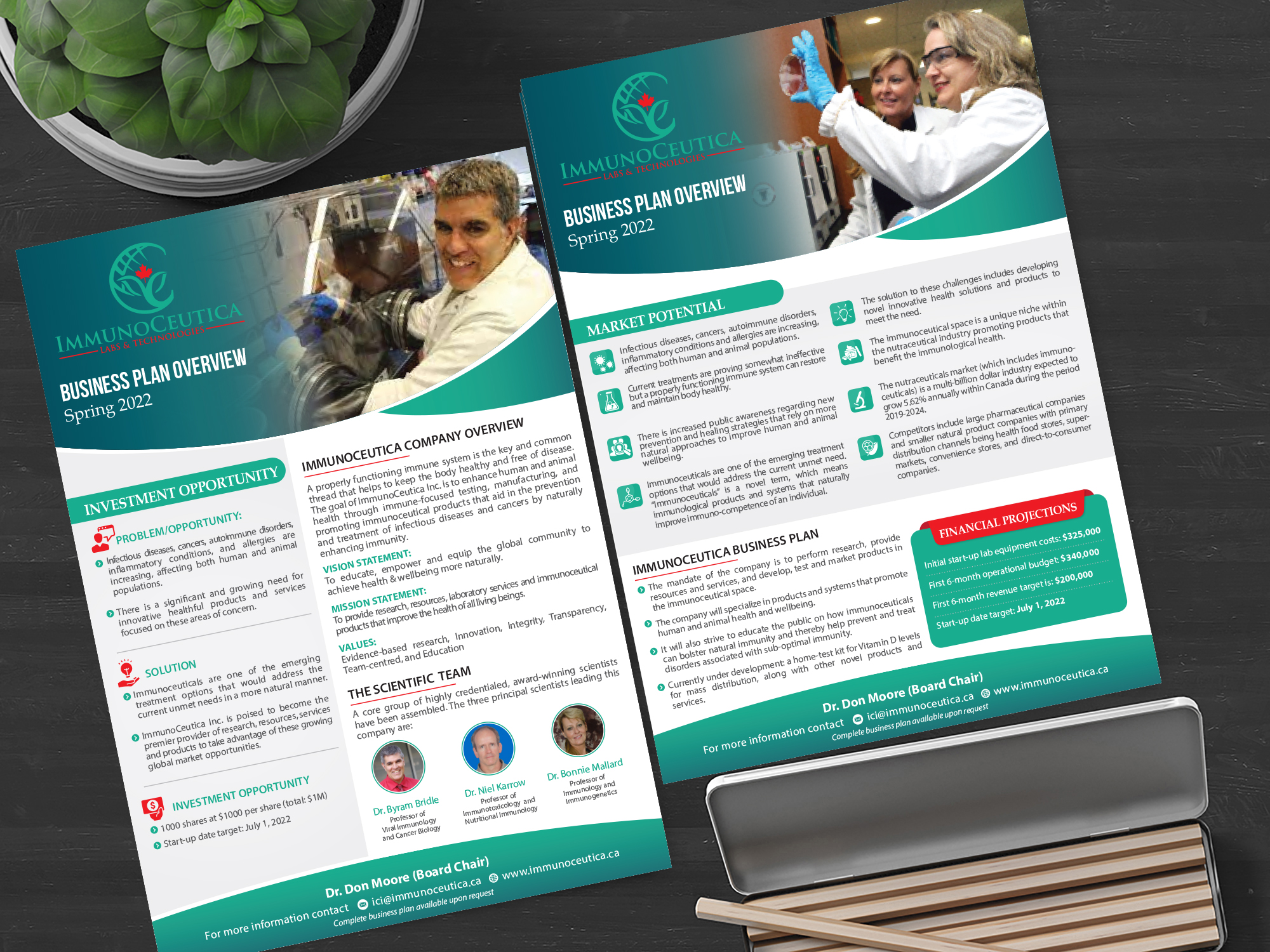 Diseño de Flyer por alex989 para este proyecto | Diseño #28437060