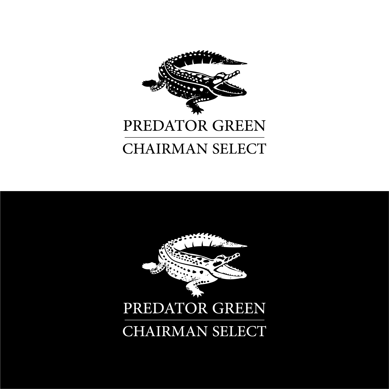 Logo Design by ThiagoB for this project | Design #28384455