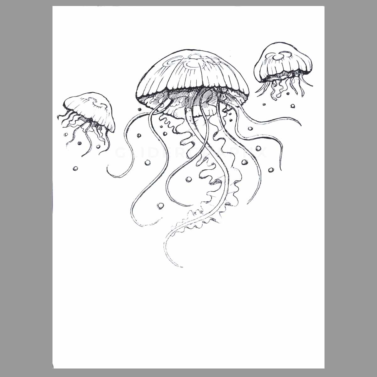 Illustration-Design von GliderGraphx für dieses Projekt | Design #28404335
