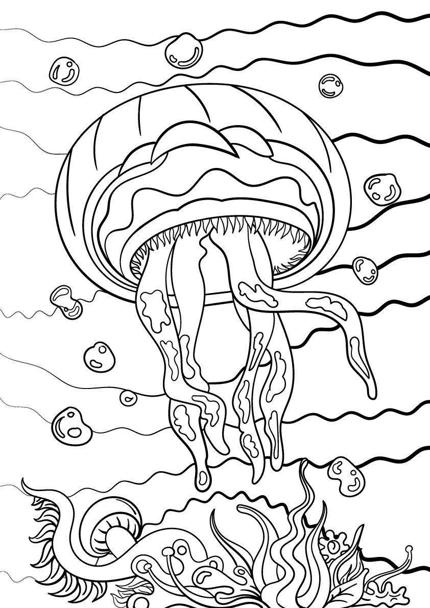 Illustration Design by vectoradics for this project | Design #28405853