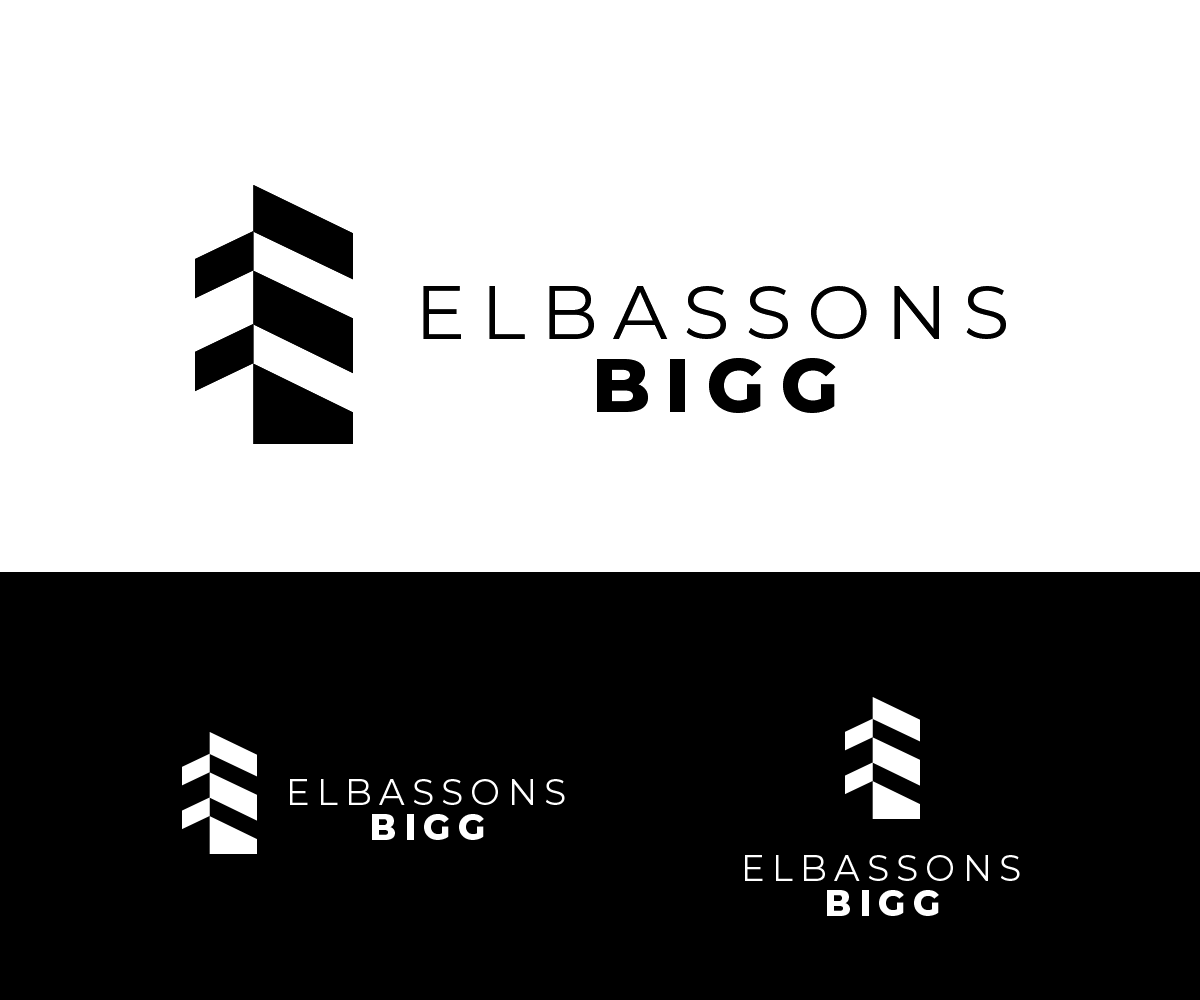 Logo Design by Andrés Sebastián for Birline Ltd. | Design #28396370