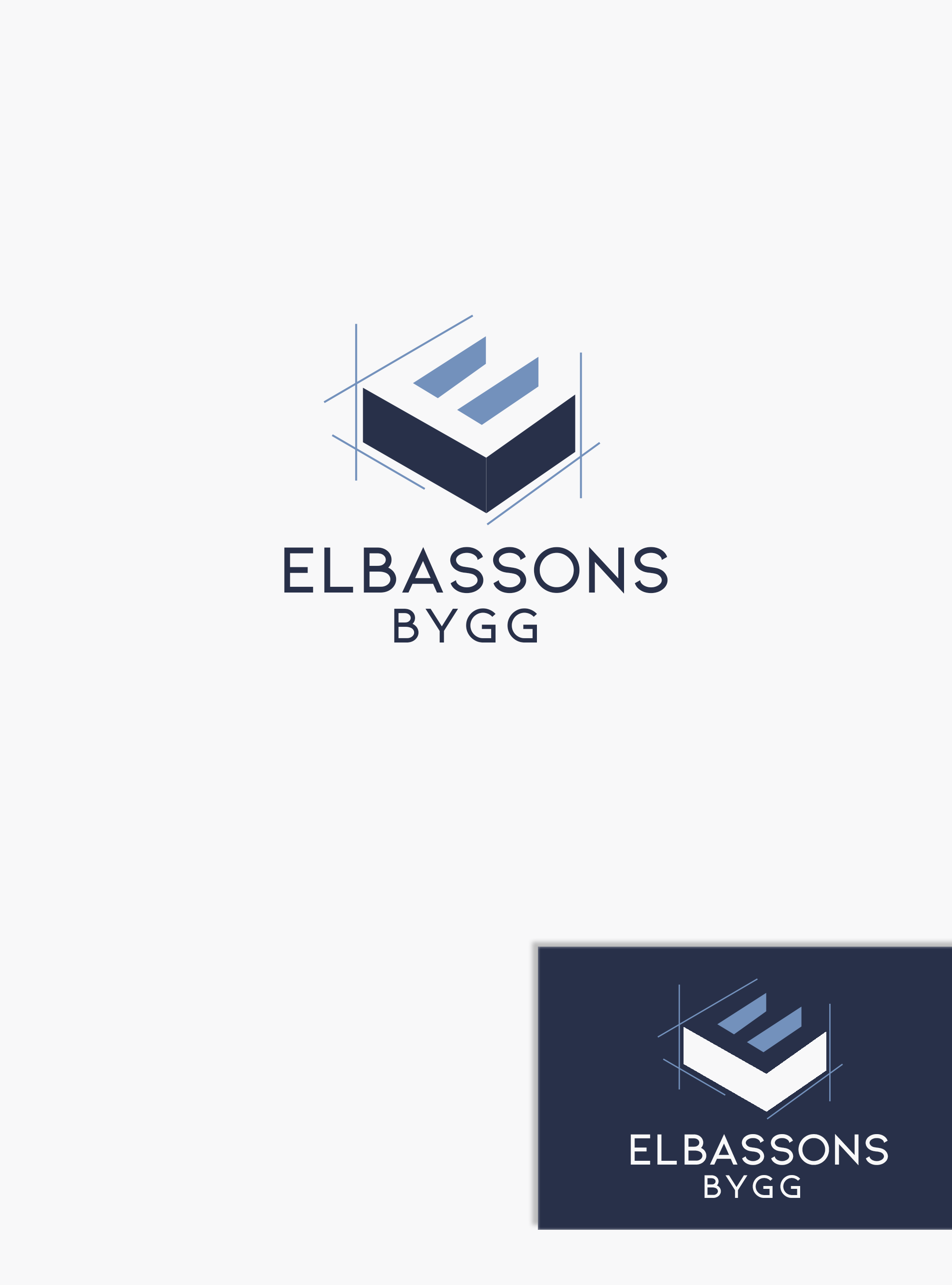 Logo Design by Ana Gocheva for Birline Ltd. | Design #28397211