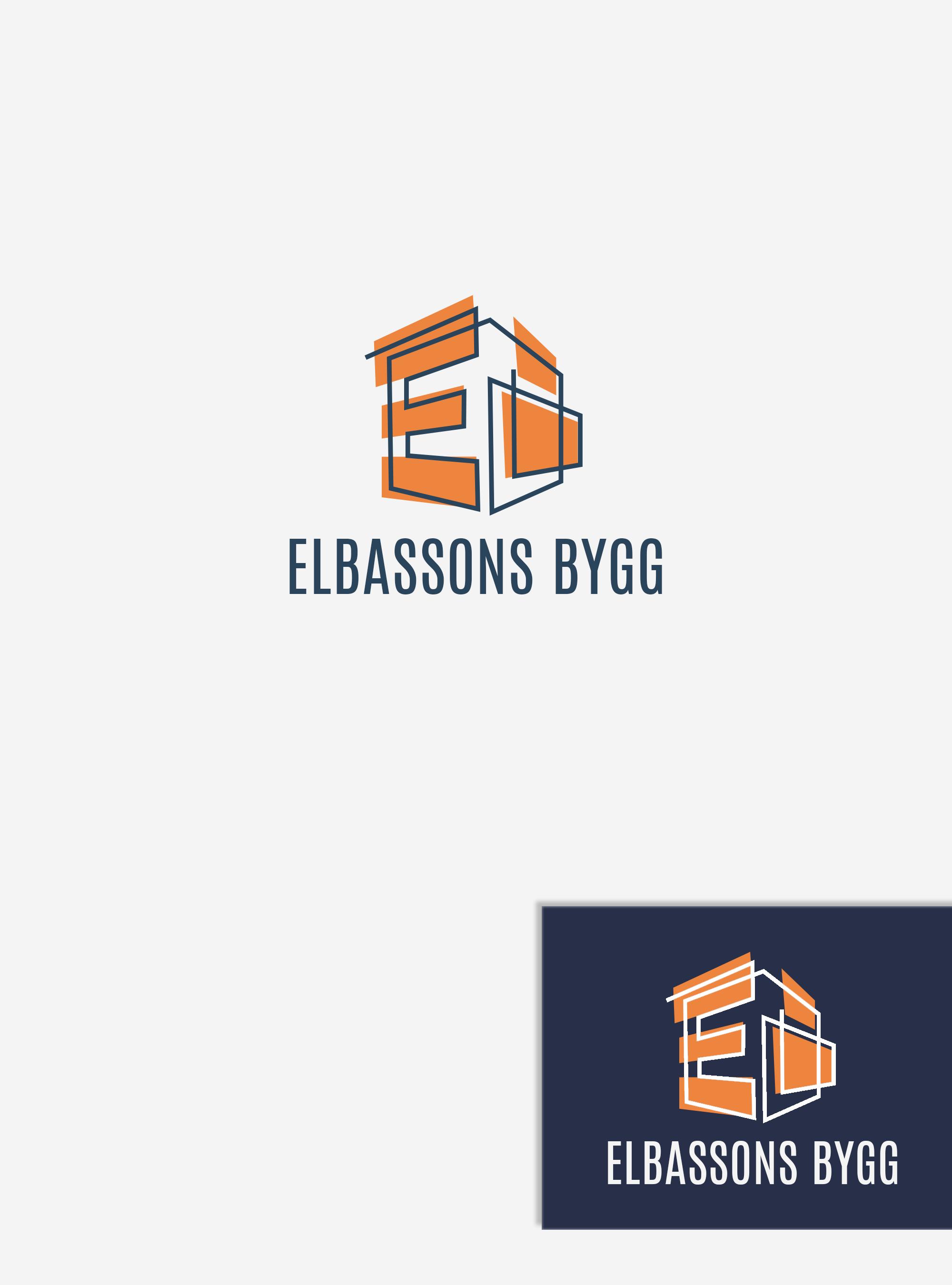 Logo Design by Ana Gocheva for Birline Ltd. | Design #28397212