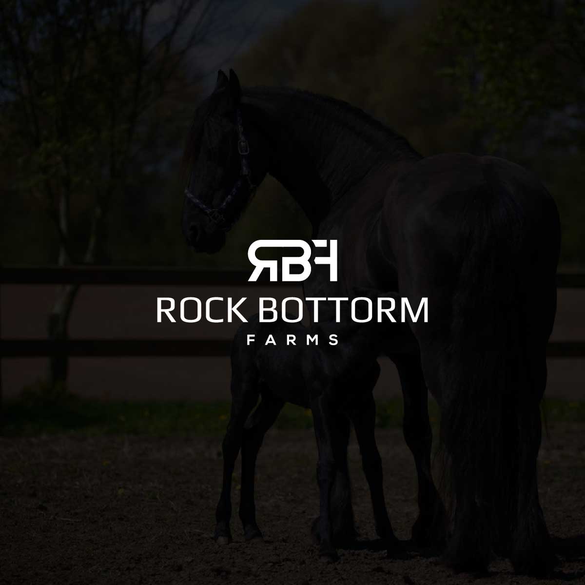 Logo Design by creative.bugs for this project | Design #28405489