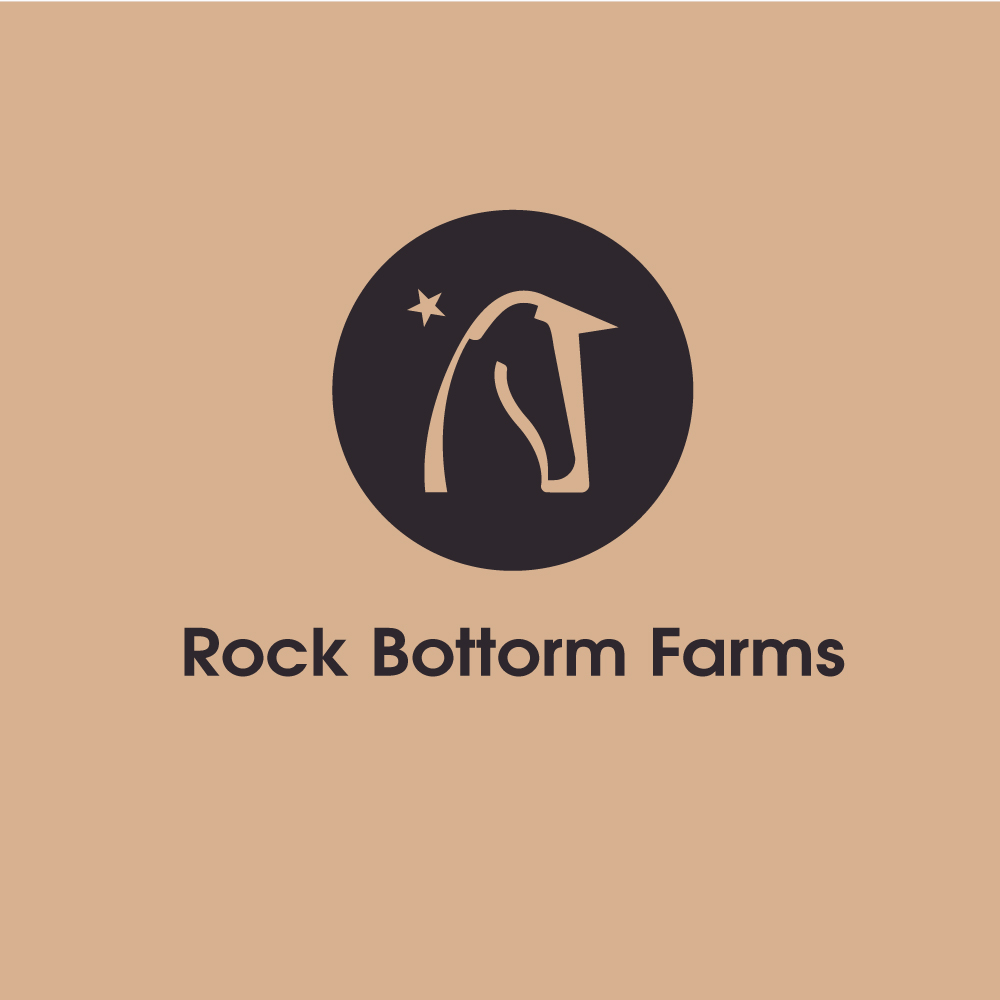 Logo-Design von Chero Designs für dieses Projekt | Design #28427433