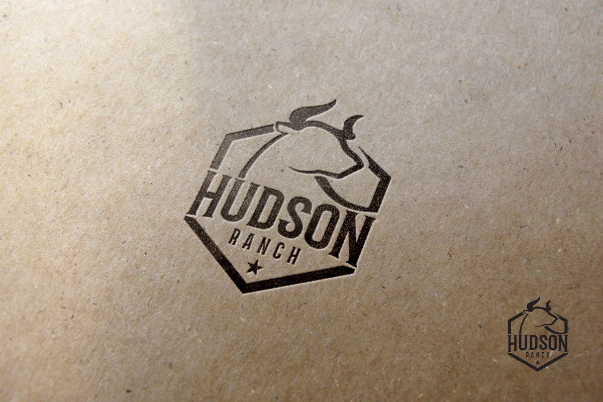 Logo Design by Pixelon Studio for this project | Design #28401909