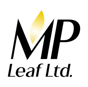Logo Design by Brandon DZ